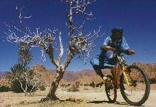 velo en desert